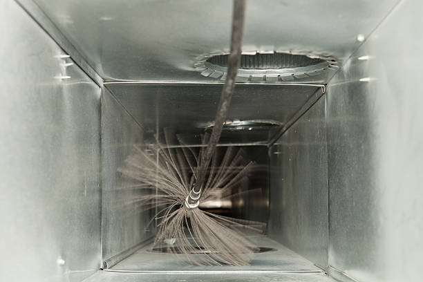 Best Affordable Duct Cleaning Services  in Shoreline, WA