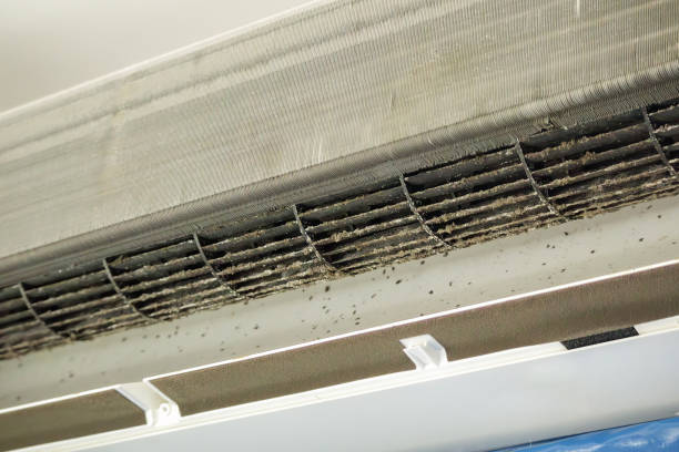 Best Air Vent Cleaning Services  in Shoreline, WA